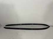 Dachreling links BMW X3 (F25) 8047359