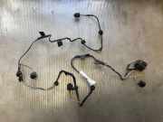 Kabelbaum Vorderen Parksensoren FORD KUGA I 2.0 TDCi 4x4 11968319000