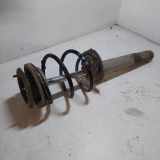 Stoßdämpfer vorne links BMW 5 Touring (E39) 530 d 824904000113