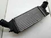 Ladeluftkühler Citroen C5 II (RC) 874823NK