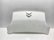 Motorhaube CITROËN NEMO Furgon (AA_) 1.3 HDi 75