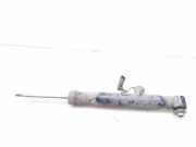 Stoßdämpfer rechts hinten Audi A6 (4F, C6) 4F0616031F