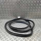 Türgummi links vorne Mercedes-Benz Vito Tourer (W447) A4477210400