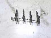 Einspritzventil Set TOYOTA RAV 4 II (_A2_) 2.0 D-4D 4WD (CLA20_, CLA21_)