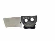 Türscharnier hinten links Citroen DS5 ()