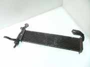 Kraftstoffkühler (Kühler) MERCEDES-BENZ C T-Model (S202) C 180 T (202.081) A2025007903