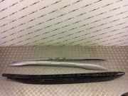 Griff Panoramadach Ford EcoSport () 115551443