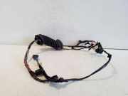 Kabel der vorderen linken Tür