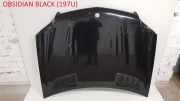 Motorhaube MERCEDES-BENZ GL (X164) GL 450 CDI 4-matic (164.828) A1648800257