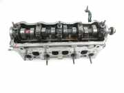 Motorkopf VW GOLF IV Variant (1J5) 1.9 TDI 4motion 098103373A