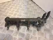 Einspritzleiste Audi A2 (8Z) 036133319