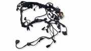 Motor Kabelbaum BMW 5 Touring (F11) M 550 d xDrive EZ033821