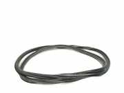 Türgummi links vorne Audi A4 (8K, B8) 8K0831721E