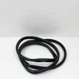 Türdichtungsgummi hinten links NISSAN LEAF (ZE0) Electric