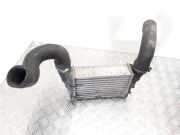 Ladeluftkühler VW PASSAT B5 (3B2) 1.8