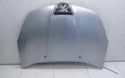 Motorhaube Peugeot 4007 ()