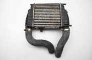 Ladeluftkühler Renault Clio III (BR0/1, CR0/1) 14461EM00A