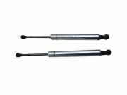 Gasfeder für Motorhaube VW Phaeton (3D) 3D0823359B