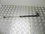 Gasdruckfeder Subaru Legacy IV Station Wagon (BL/BP/BPS) 6ZL13FJ30