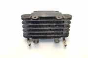 Kraftstoffkühler BMW 3er Coupe (E46) 13322247411