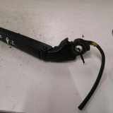 Zierleiste Windschutzscheibe Frontscheibe CITROËN C4 CACTUS 1.6 HDi 90 9801706480
