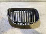 Vorderer oberer Gitter BMW 1 (E87) 116 i 22405910