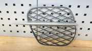 Gitter vorne unten BMW X5 (E70) xDrive 30 d 7222857