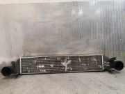 Ladeluftkühler MERCEDES-BENZ C T-Model (S203) C 220 CDI (203.206) 2035000000