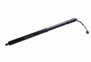 Heckklappe Gasdruckfeder rechts JAGUAR XJ (X351) 3.0 D 925032101