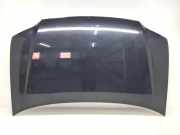 Motorhaube VW TOURAN (1T1, 1T2) 1.9 TDI