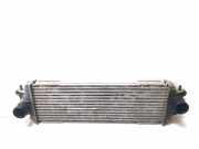 Ladeluftkühler Renault Trafic II Bus (JL) 7700312903