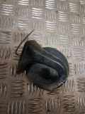 Hupe RENAULT KANGOO Express (FC0/1_) 1.6 16V bivalent