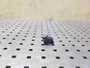 Einparkhilfe hinten AUDI A3 Cabrio (8P7) 1.6 TDI 420919275