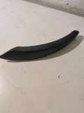 Türverkleidung links hinten BMW X5 (E70) 70P3141