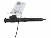 Düsenstöcke Peugeot 508 I SW (8E) 9674984080