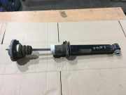 Stoßdämpfer hinten rechts BMW 5 (F10) 520 d 6789380