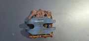 Stoßstangenhalter vorne links BMW 5 Touring (E34) 525 i 51111944545