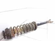 Stoßdämpfer hinten links