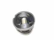 Kolben PEUGEOT 407 Coupe (6C_) 2.7 HDi H268X