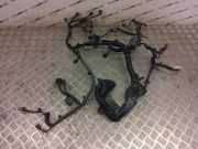 Motor Kabelbaum MAZDA CX-3 (DK) 2.0 dh3w67020a