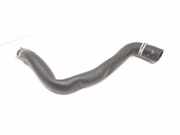 Schlauch Kühlung RENAULT MEGANE IV (B9A/M_) 1.5 dCi 90 (B9A1)