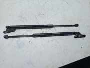 Heckklappe Gasdruckfeder links LAND ROVER DISCOVERY SPORT (L550) 2.0 4x4 FK72A18178AB