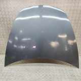 Motorhaube TESLA MODEL 3 EV Performance AWD 1081390-E0-C