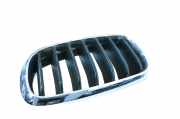 Vorderer oberer Gitter BMW X6 (F16, F86) M 50 d 7316057 7316053