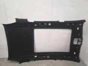 Dachverkleidung BMW X5 (G05) xDrive 40 i 195204880006