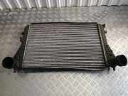 Ladeluftkühler VW Golf V Plus (5M, 521) 1K0145803L