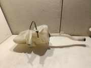 Behälter Scheibenwaschanlage Fiat Doblo Kasten (223)