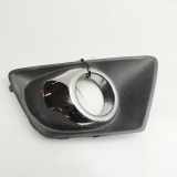 Nebelscheinwerferverkleidung FORD ECOSPORT 1.0 EcoBoost EN15-15A299-AAW