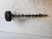 Auslassnockenwelle RENAULT KANGOO (KC0/1_) 1.5 dCi (KC07) B94717021 1Z1114