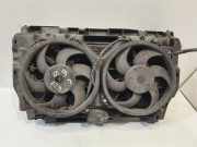 Kühler Citroen C5 III (RD)